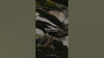 سبحان ربك رب العزة عما يصفون || القارئ بدر النفيس