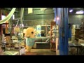 とらんすふなっしーおどってみたなっしー♪