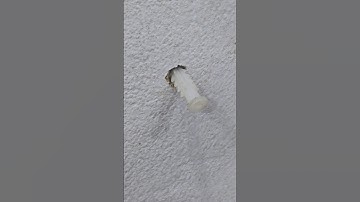 MẸO ĐÓNG TẮC KÊ NHỰA KHÔNG VÀO HÃY ÁP DỤNG NGAY CÁCH NÀY #meohay #diy #meohaymoingay #tips #tools