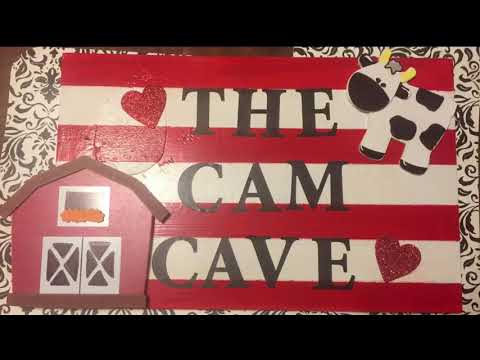 grandson’s-playroom-sign:-the-cam-cave