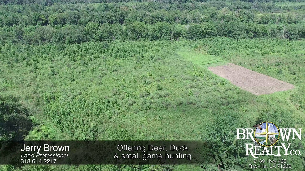 270 acres For Sale in Richland Parish, LA YouTube