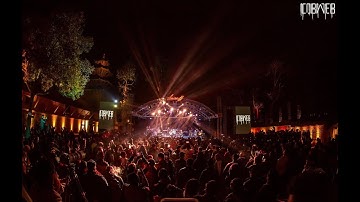 Cobweb I Mercedes Benz I The 30