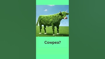 Literal vs Reality English Compound Words Part111 #learnenglish  #shorts