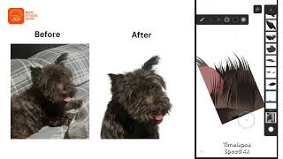 Timelapse Pet Vector Portrait