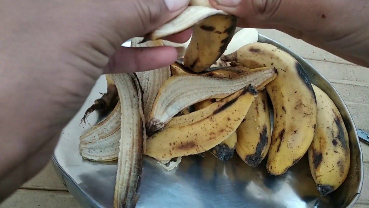 Use Banana In Your Plants For Blooming //Easy And Natural Fertilizer