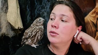 The Little owl Luchik is friends with the artist Alina. Owl has a new friend at first sight