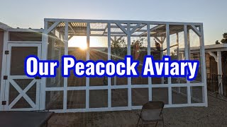 A look at our new Peacock Aviary, and meet our new Ducks.