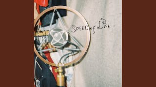 The Speed of Life