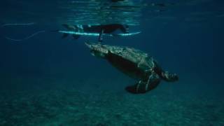 Extreme Sport Template After Effects Template