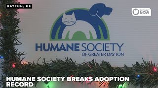 Humane Society of Greater Dayton shatters adoption record, 2,910 adoptions in 2025