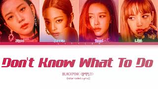 BLACKPINK - Don't Know What To Do (Color Coded Lyrics Pt/Rom/Han/가사)