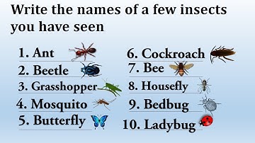 Lesson1 Introduction of animals |#cbse | #ncert  | #class2evs #CBSE #cbseclass2 #insects #ncertevs
