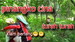 PINANGKO CABE BURUNG LAWAK KARO TERBARU MAKCIRLA