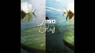Elisa - The Marriage