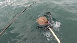 Fishing Gear Review - All My Fluke (Flounder) Rods and Reels and Why I ONLY  Use 10 Pound Braid! 