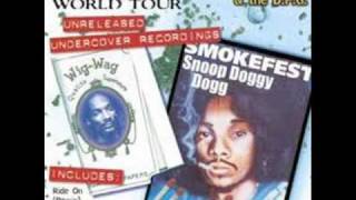 Watch Snoop Dogg I Will Survive video