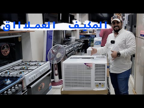 فيديو: شتلاند كلب الراعي