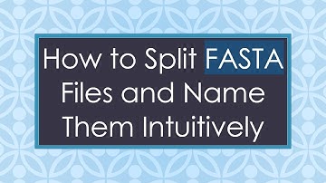 How to Split FASTA Files and Name Them Intuitively