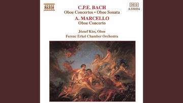 Oboe Concerto in D Minor, S.Z799: I. Andante e spiccato