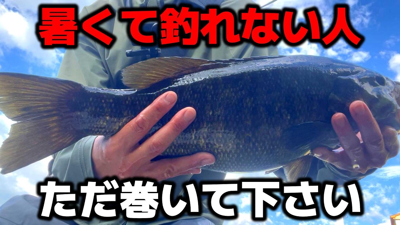 夏も秋も、暑くて釣れないならコレをただ巻いてくれ【エイリアンテール】