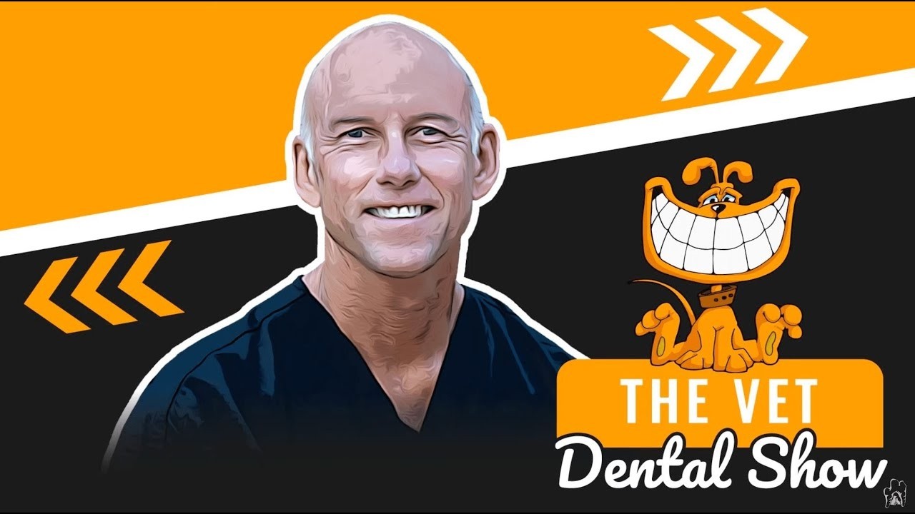 Episode 213 - Extraction Mistakes You Must Avoid in Vet Dentistry