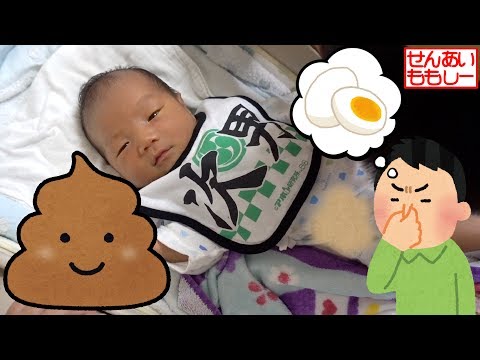 しーくんのウンチ💩のニオイを嗅ぐせんももあい