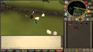 Runescape How to Jump Wilderness Wall.avi