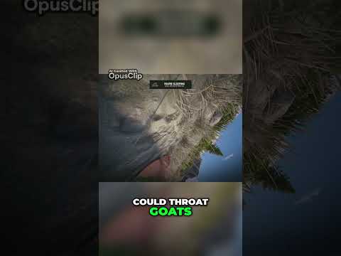Vip Throat Goat Meaning Origin Trail - oauy56g
