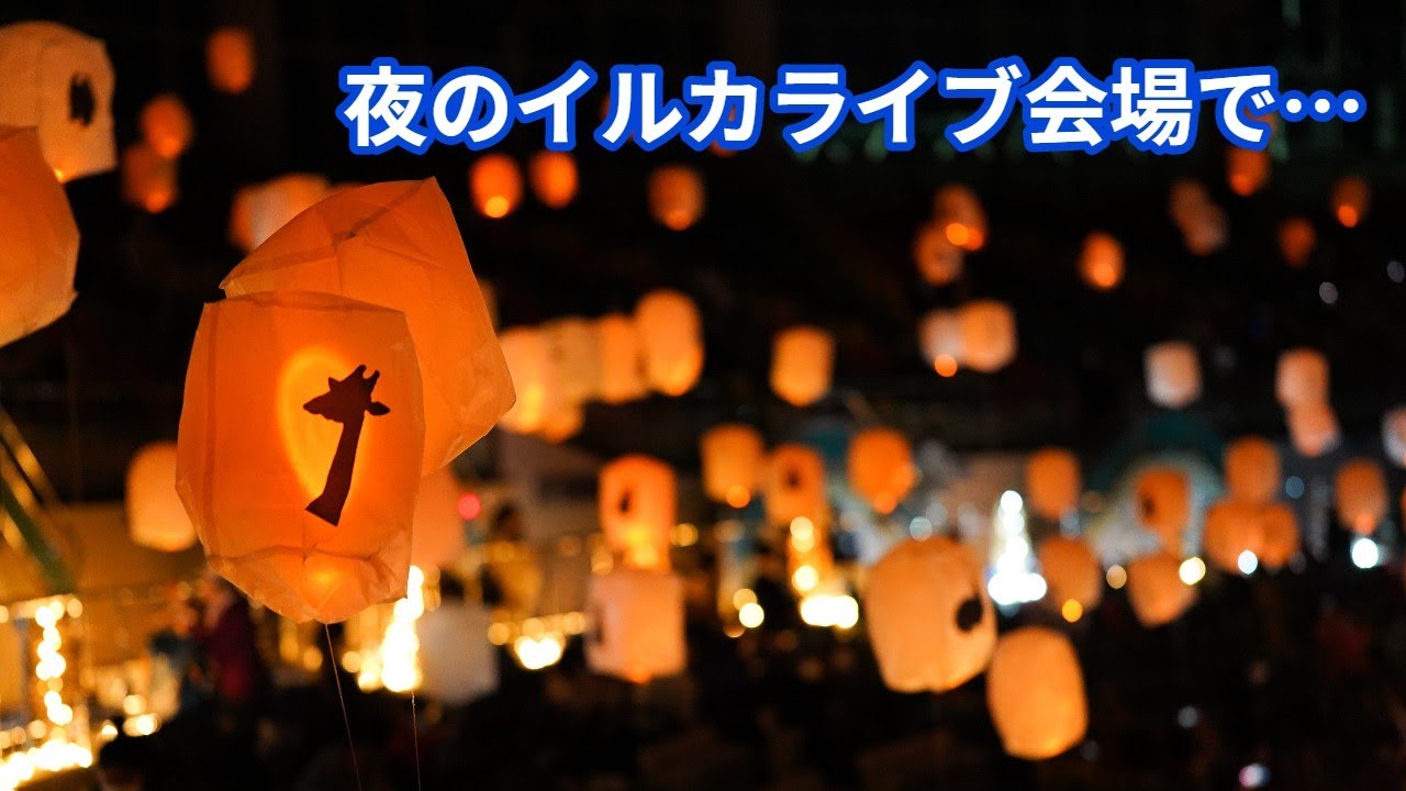 幻想的 夜のイルカライブ会場に浮かぶランタン Youtube 幻想的 夜のイルカライブ会場に浮かぶランタン Youtube