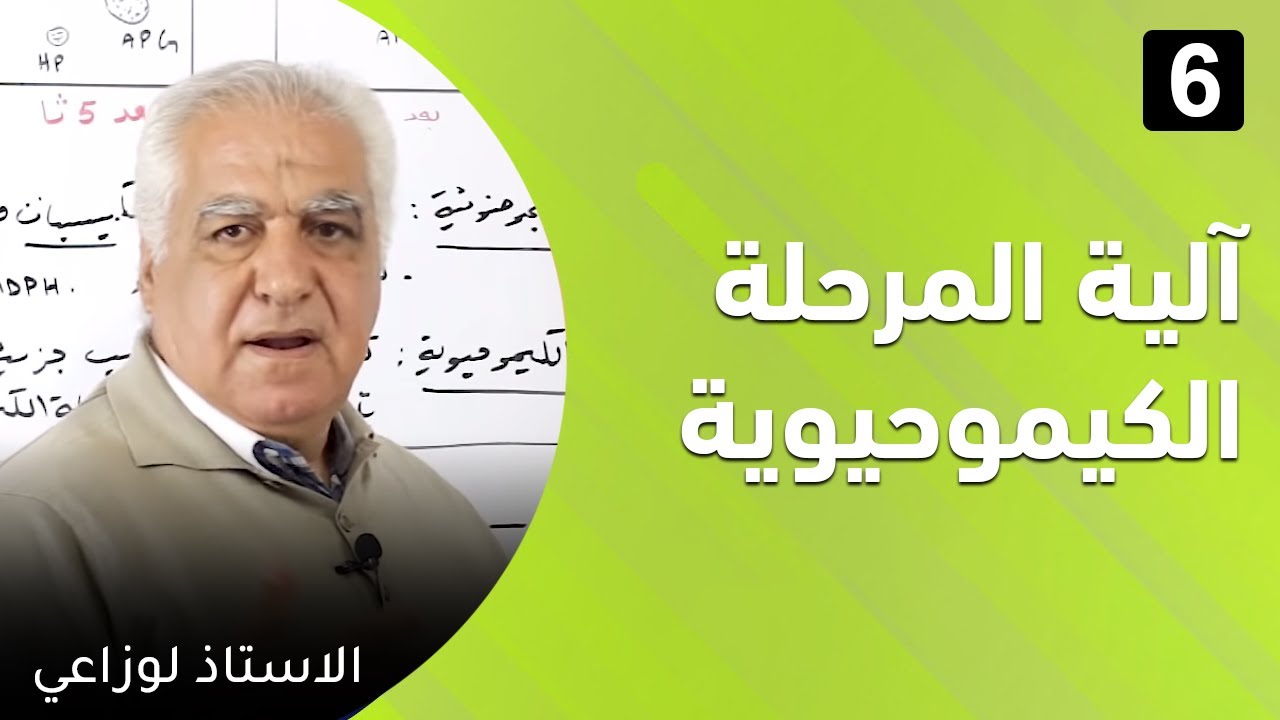 الدرس السادس  : آلية المرحلة الكيموحيوية
