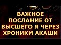 ВАЖНОЕ ПОСЛАНИЕ ВЫСШЕГО Я ЧЕРЕЗ ХРОНИКИ АКАШИ гадание карты таро любви сегодня