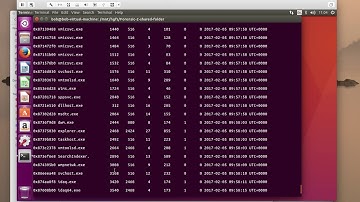 Unpacking Virut.ce - Using Volatility