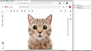 A Phishing Email Demo