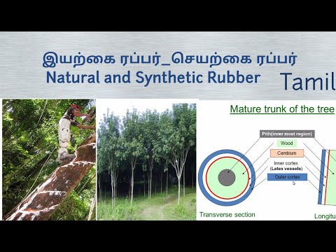 இயற்கை ரப்பர் செயற்கை ரப்பர்  வரலாறு !! History of Natural Rubber and Synthetic Rubber