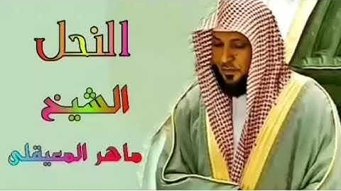 سورة النحل المصحف المرتل الشيخ ماهر المعيقلي