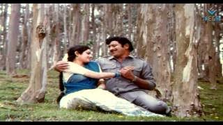 Pattu Ollu Pattu (Jayam Mande) Krishna, Sri Devi Romantic Song