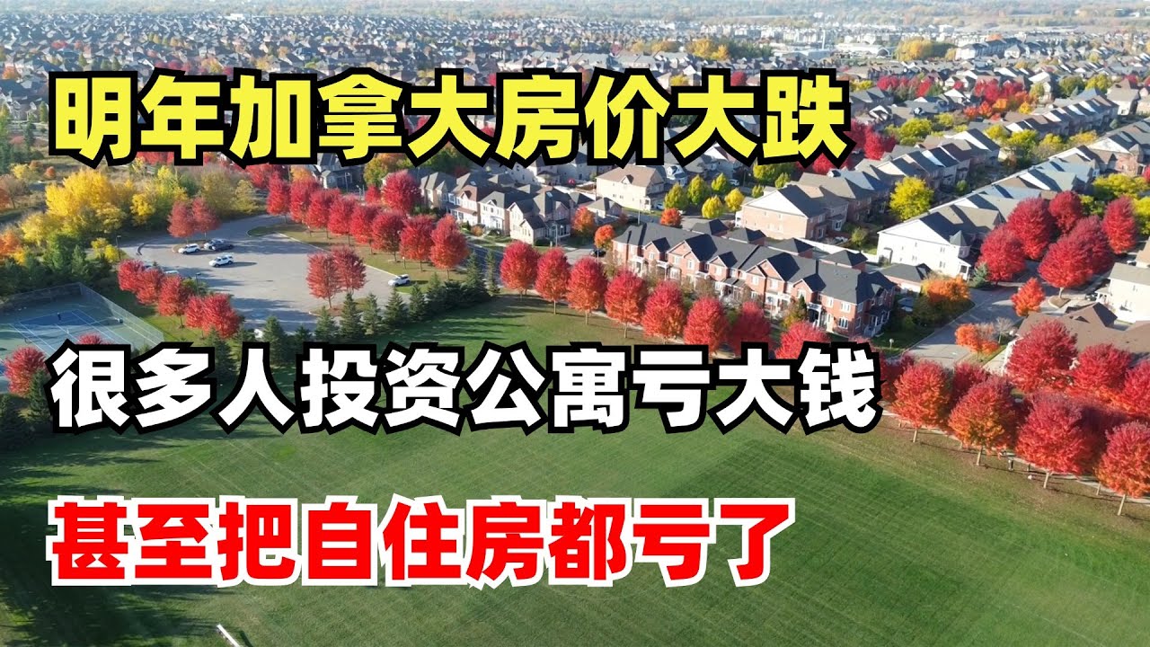 我认为明年加拿大房价大跌的原因，很多人投资公寓亏的裤衩都不剩，甚至把自住房都亏了流落街头 - YouTube