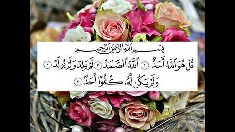 سورة الإخلاص مكررة مرات بصوت الشيخ /  ميثم التمار..