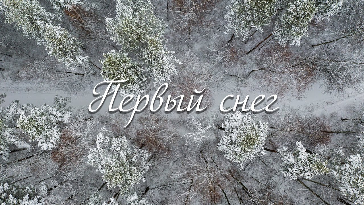 Белым снегом покрылись. Белым снегом покрылись. Снежная целина. Белая зима. Наступила зима земля покрылась снежным ковром.