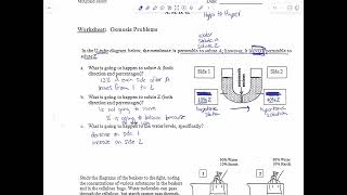 Osmosis Problems Worksheet