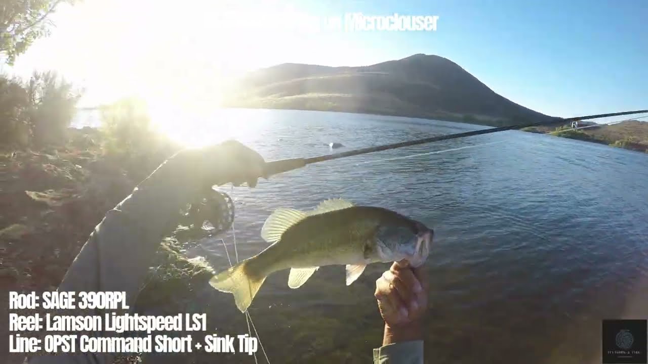 Lake Skinner Bass & Bluegill on Fly Video　#flyfishingforbass #flytyingforbass #caflyfishing #フラデバ