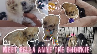Day In My Life Vlog : I Got A New Puppy 🐶 Meet Bella The Shorkie 💗 First 24 Hours With A New Puppy!