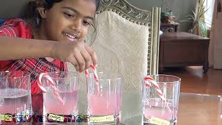 Candy Cane Experiment | Understanding Solubility