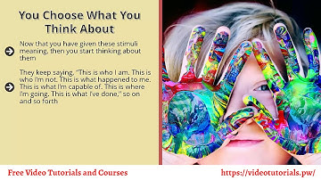 Video 5 All Stimuli Are Neutral