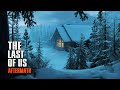 Last of Us Calm Ambient Mix - Winter - TLOU 1 &amp; 2 Slowed &amp; Reverbed Music &amp; Ambience