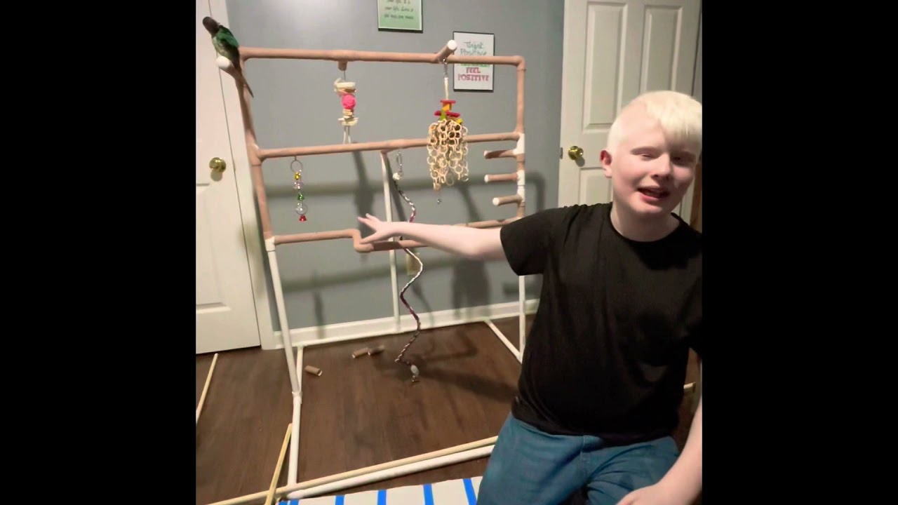DIY Bird Jungle gym, PVC pipe play stand for Birds, YouTube