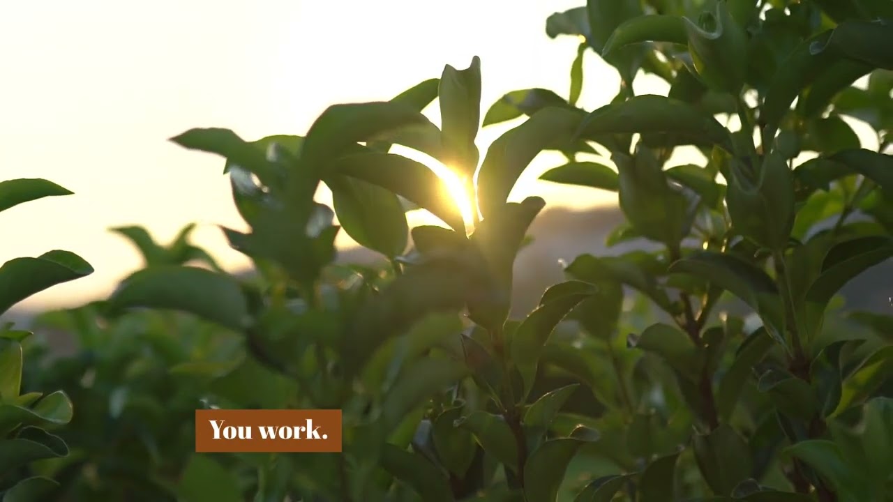 Success doesn’t come overnight 