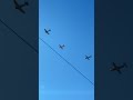 Can anyone name these birds? #warbirds