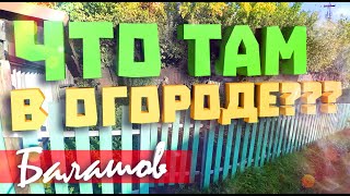 КОП МОНЕТ. ЧТО НАШЛИ В ОГОРОДЕ? В ПОИСКАХ ЗОЛОТА