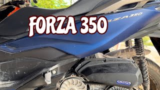Honda FORZA 350 Removal / installation / Variator,Clutch,Belt,Rollers | V Moto